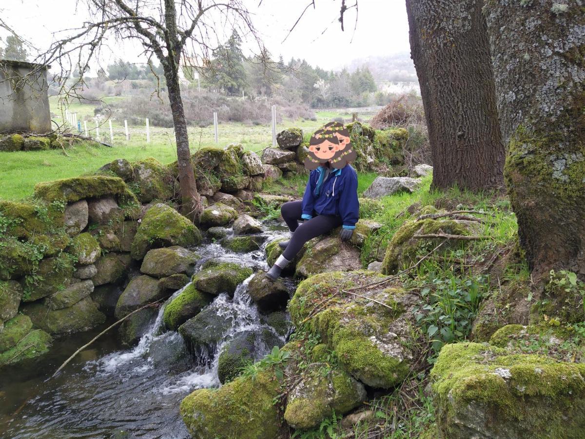 Turismo Rural Macieira Brava Guarda Esterno foto