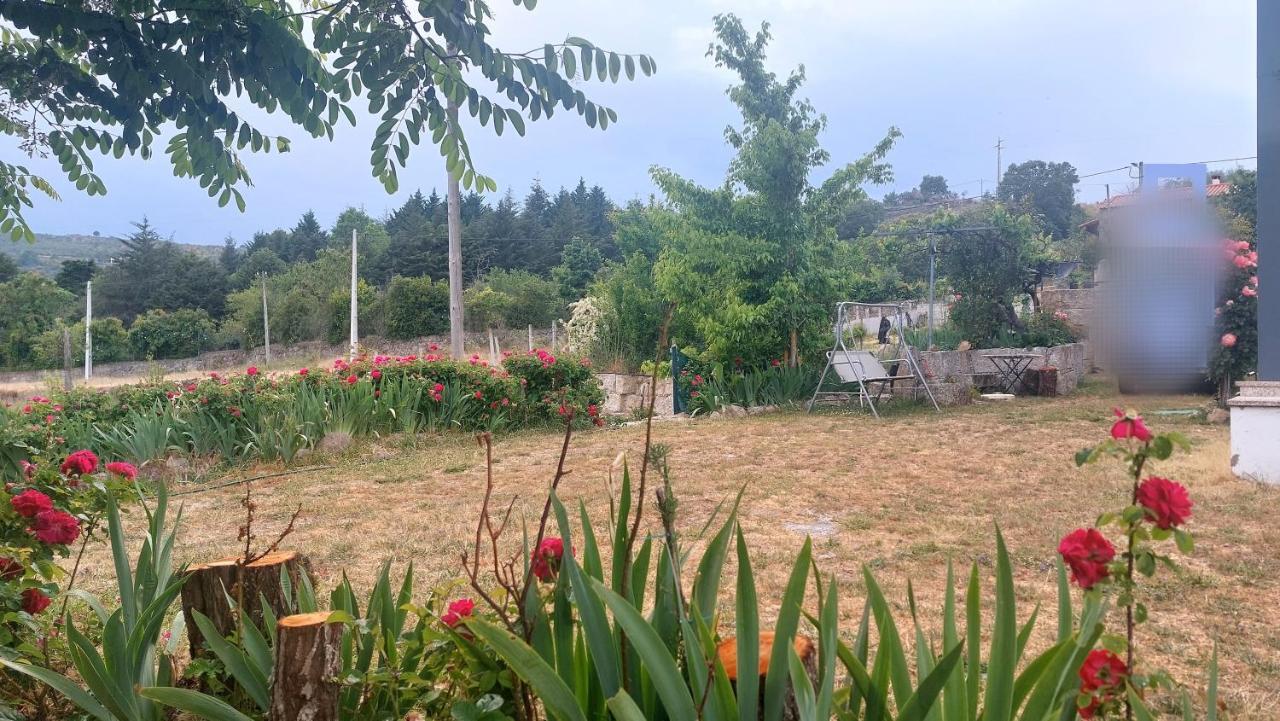 Turismo Rural Macieira Brava Guarda Esterno foto
