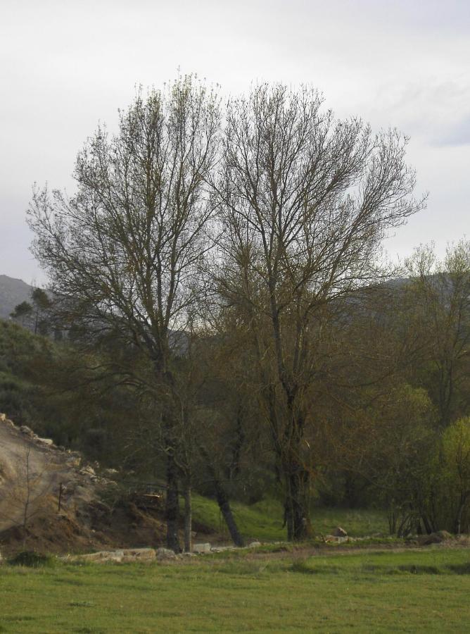 Turismo Rural Macieira Brava Guarda Esterno foto